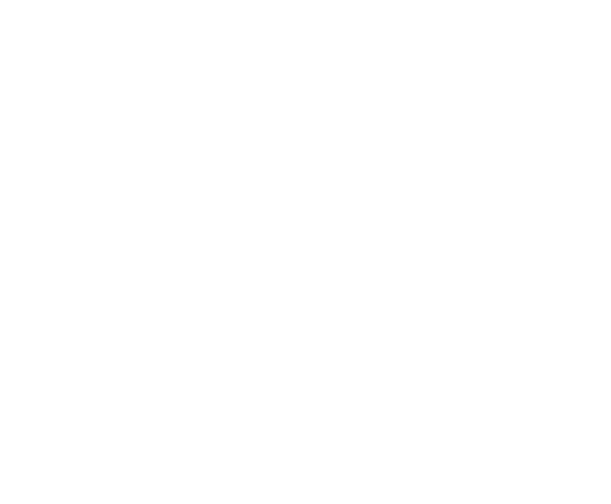 Spektrum des Kometen Hyakutake vom 29.02.1996