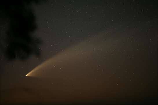 Komet McNaught am 29.01.07